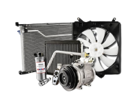 image-removebg-preview